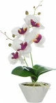 mini_image