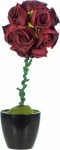 mini_image