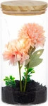 mini_image