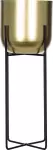 mini_image