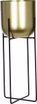 mini_image