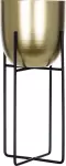 mini_image