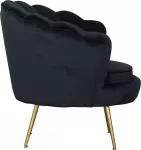 mini_image