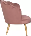 mini_image