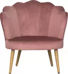 mini_image