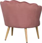 mini_image