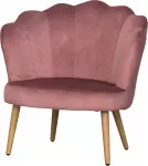 mini_image