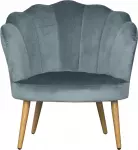 mini_image