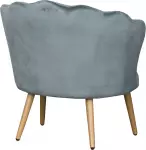 mini_image
