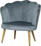 mini_image