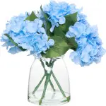 mini_image