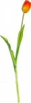 mini_image