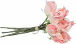 mini_image