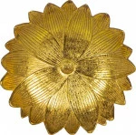 mini_image
