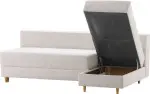 mini_image