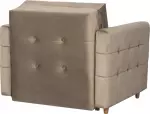 mini_image