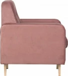 mini_image