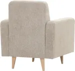 mini_image