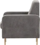 mini_image