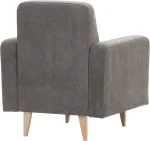 mini_image