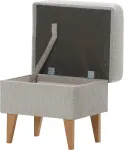 mini_image