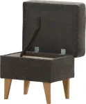 mini_image