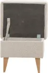 mini_image