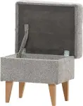 mini_image