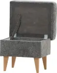 mini_image