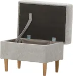 mini_image