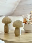 mini_image