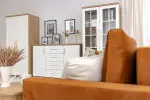 mini_image
