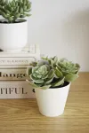 mini_image