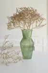 mini_image