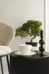 mini_image