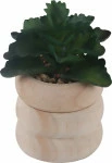 mini_image