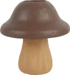 mini_image