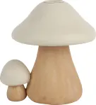 mini_image