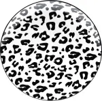 mini_image